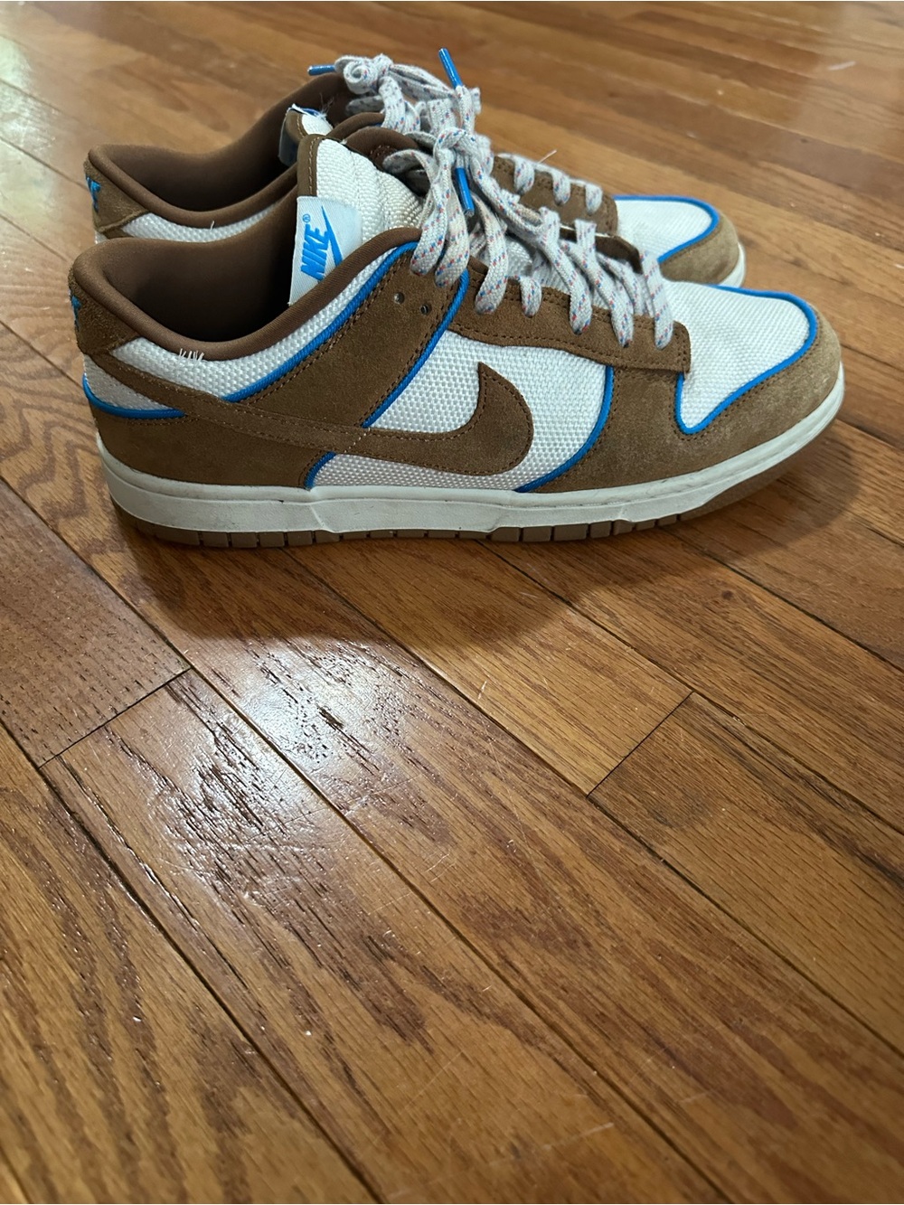 Nike Dunk Low Premium Shoes Men’s size 10.5